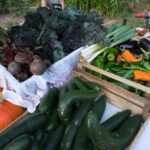 Impressionen Märkte Kunsthandwerk Odenwald